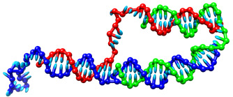 Two-footed DNA walker